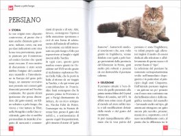 Gatti - Atlanti Natura — Libro - 3