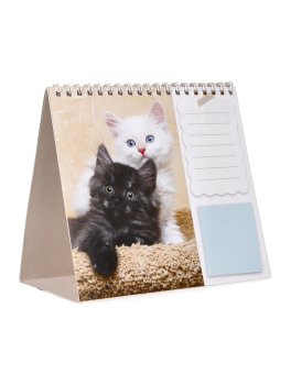 Gatti Calenario 2026 Pocket — Calendario - 3