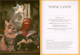 Gatti - Guida Mistica — Libro - 3