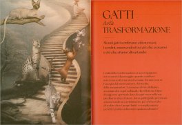 Gatti - Guida Mistica — Libro - 5
