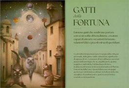 Gatti - Guida Mistica — Libro - 6