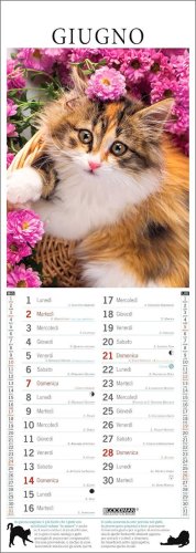 Gatti nei Fiori Calendario 2026 — Calendario - 3