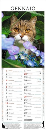 Gatti nei Fiori Calendario 2026 — Calendario - 2