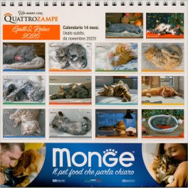 Gatti & Relax - Calendario da Tavolo 16 Mesi - Calendario 2026 — Calendario - 2