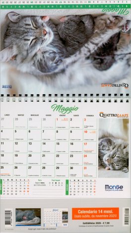 Gatti & Relax - Calendario da Tavolo 16 Mesi - Calendario 2026 — Calendario - 3