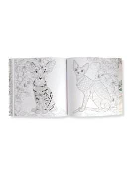 Gatti Senza Pensieri — Libro - 4