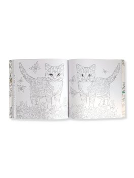 Gatti Senza Pensieri — Libro - 3