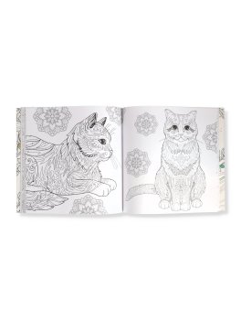 Gatti Senza Pensieri — Libro - 2