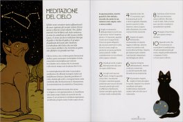 Gatti Zen — Libro - 3