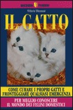 Il Gatto
