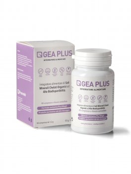 Gea Plus - 4
