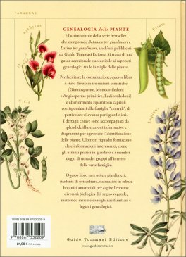 Genealogia delle Piante — Libro - 4
