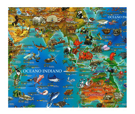 Geoposter Bambini: Animali del Mondo — Poster - 3