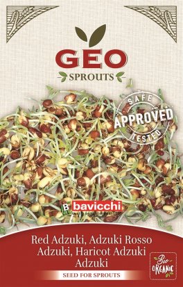Germogli di Adzuki Rosso Bio - 1