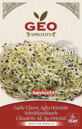 Germogli di Aglio Orientale Bio - 1