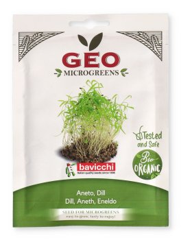 Germogli di Aneto Bio - Geo Microgreens - 1