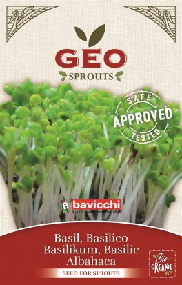 Germogli di Basilico Bio - 1