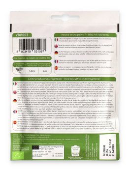 Germogli di Bieta Bull's Blood Bio - Geo Microgreens - 2