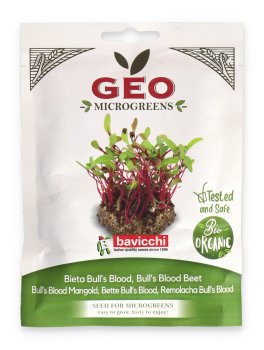 Germogli di Bieta Bull's Blood Bio - Geo Microgreens - 1