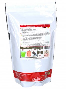 Germogli di Broccolo Raab Bio - 2