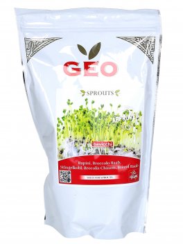 Germogli di Broccolo Raab Bio - 1