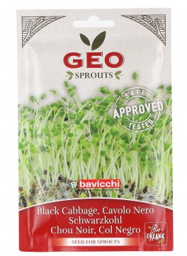 Germogli di Cavolo Nero Bio - 1