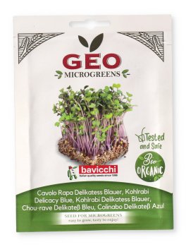 Germogli di Cavolo Rapa Bio - Geo Microgreens - 1