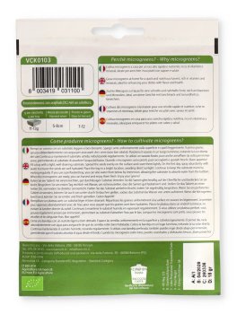 Germogli di Cavolo Riccio Rouge De Russie Bio - Geo Microgreens - 2