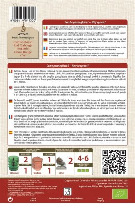 Germogli di Cavolo Rosso Bio - 2