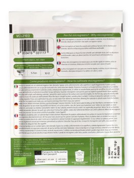 Germogli di Cipolla Bio - Geo Microgreens - 2