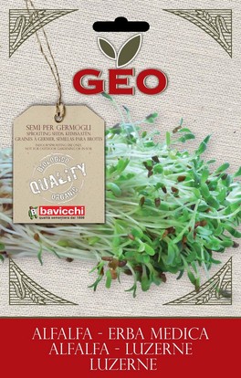 Germogli di Erba Medica - Alfalfa - 1