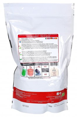 Germogli di Erba Medica - Alfalfa - 2