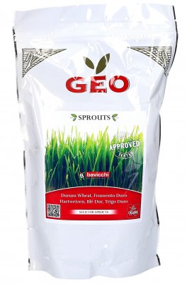 Germogli di Frumento Duro - 1