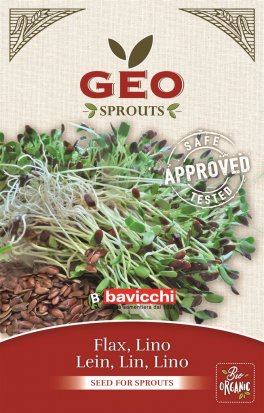 Germogli di Lino - 1