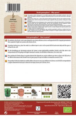 Germogli di Orzo - 2