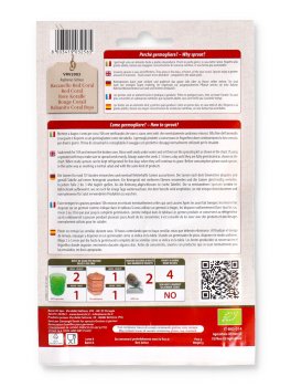 Germogli di Ravanello Red Coral Biologico - 2