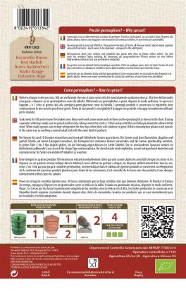 Germogli di Ravanello Rosso Biologico - 2