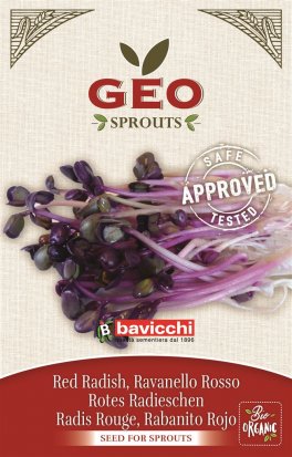 Germogli di Ravanello Rosso Biologico - 1