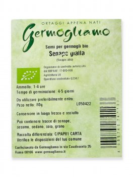Germogli - Senape Gialla - 2
