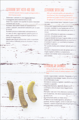Ghiottonerie Sottovetro — Libro - 3