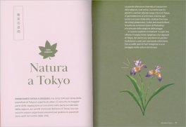 Giappone Nascosto — Libro - 3