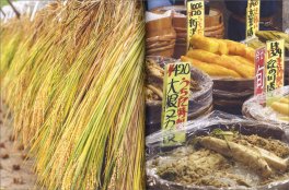 Giappone Veg — Libro - 4