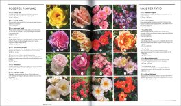 Giardinaggio — Libro - 4