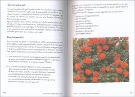 Verde in 5 Minuti — Libro - 3