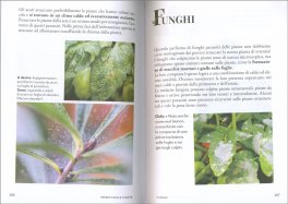 Verde in 5 Minuti — Libro - 4
