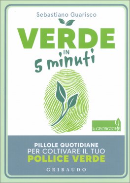 Verde in 5 Minuti — Libro - 1