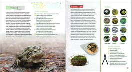 Giardinaggio per Animali (Selvatici) — Libro - 3