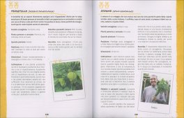 Giardinaggio Ribelle — Libro - 4