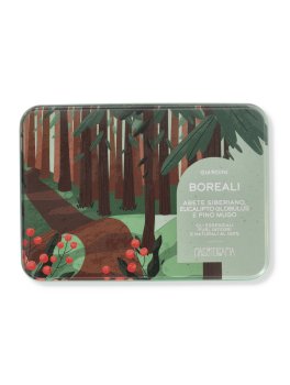 Giardini Boreali - Cofanetto di Oli Essenziali - 5