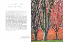 Giardini d'Inverno — Libro - 3